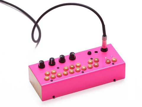Critter & Guitari Bolsa Bass